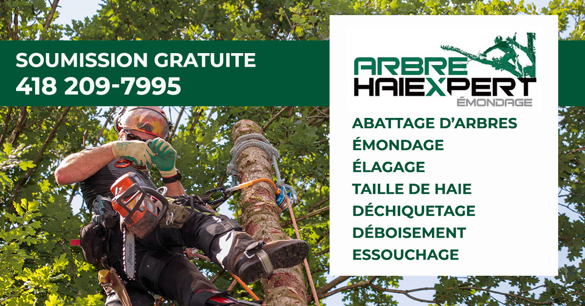 Élagage, émondage, démontage, essouchage dans Portneuf